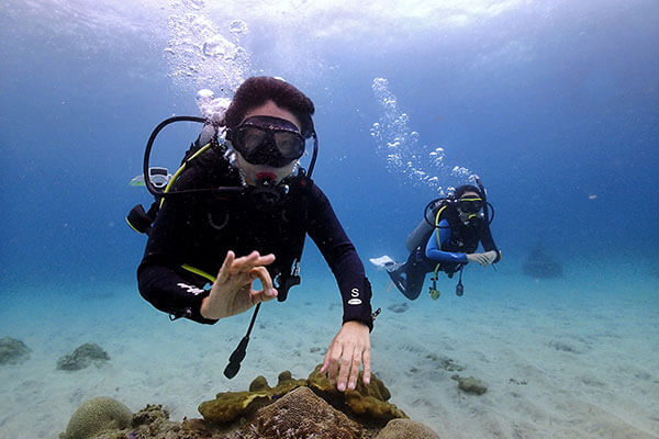 Let's Start Scuba Diving in Bali