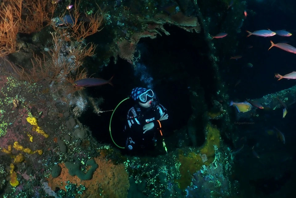 Tulamben Shipwreck Diving in Tulamben Bali